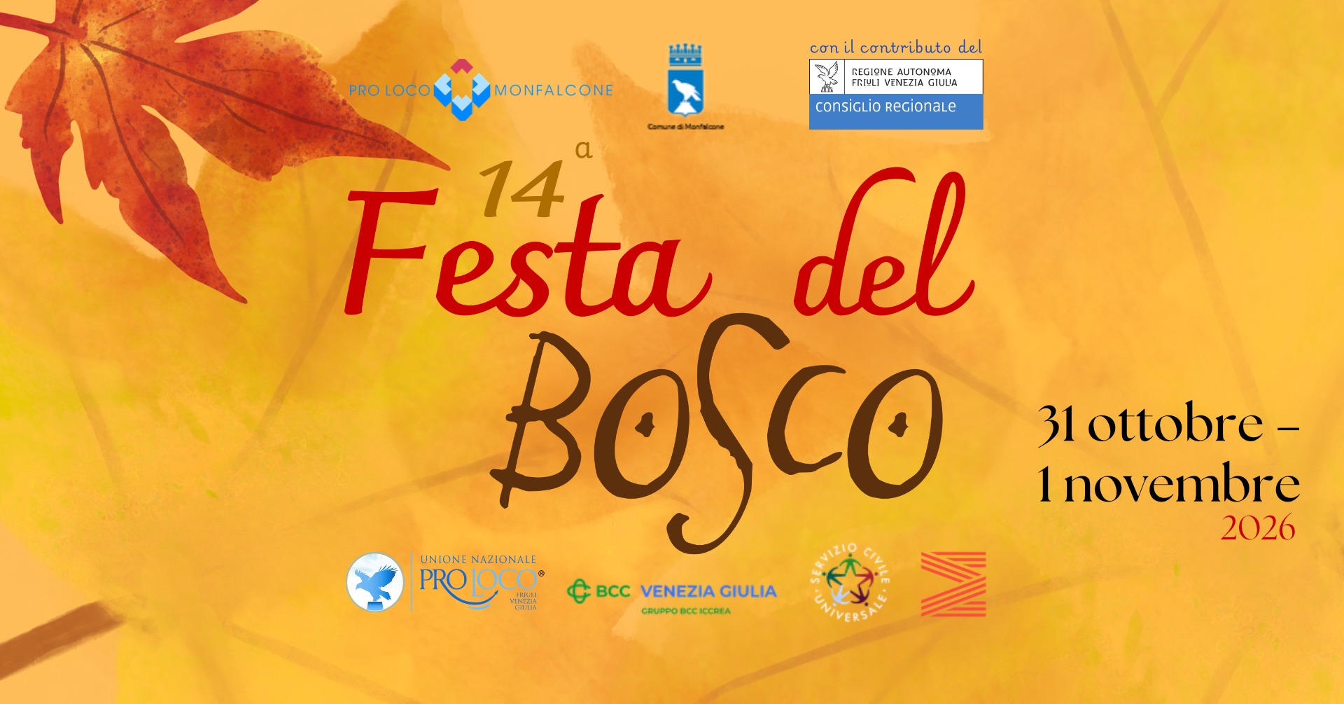 14a Festa del Bosco