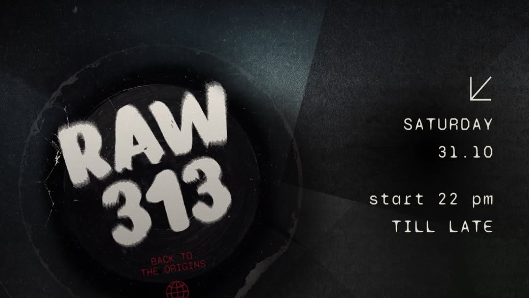 RAW 313 
